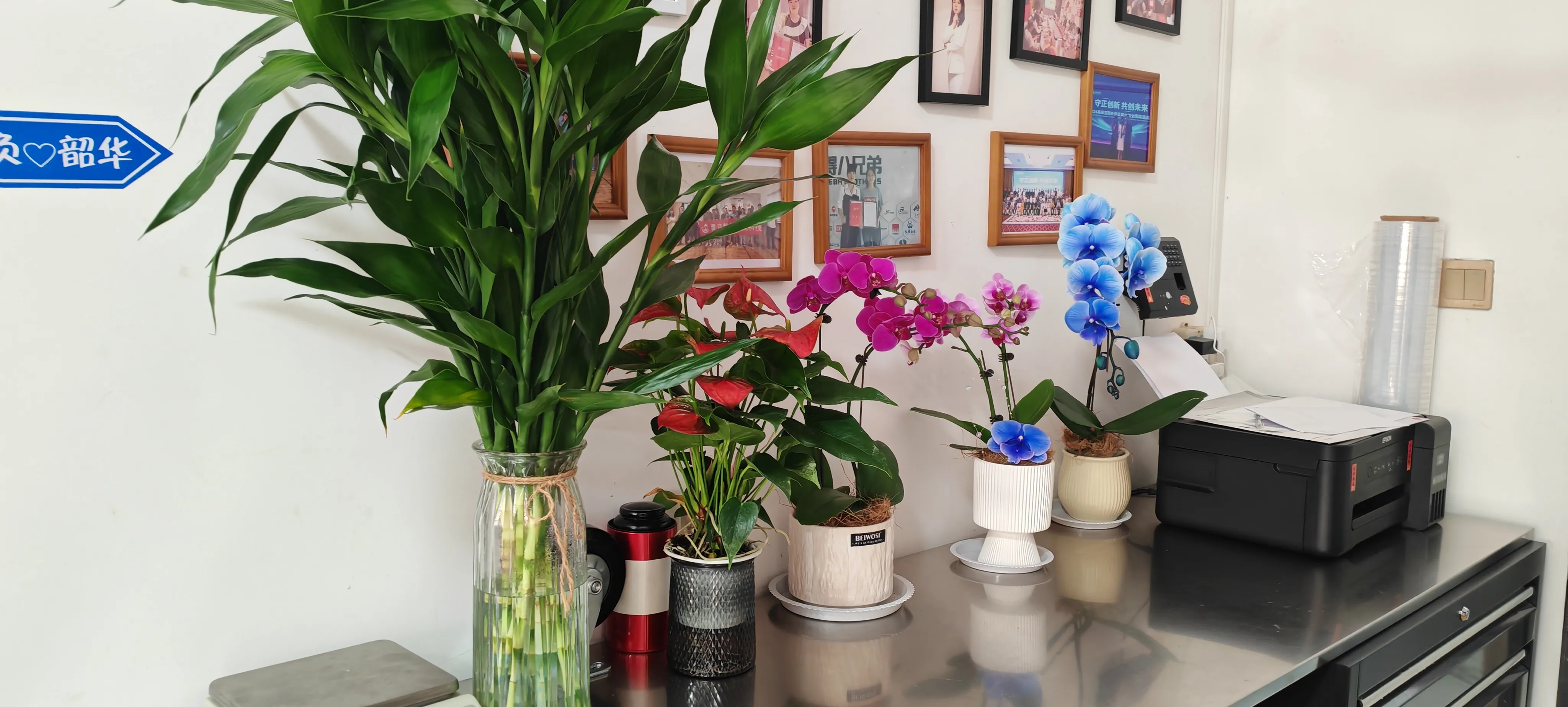 Vitajte s novými priateľmi JOJO Packu!