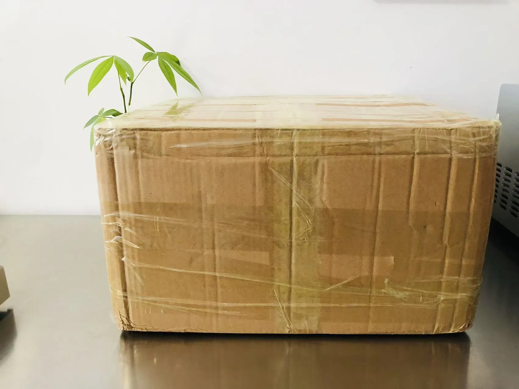 Kreslené pevné epoxidové nálepky teraz na ceste do Japonska